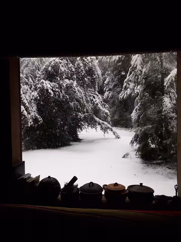 Cozy interior with warm natural light